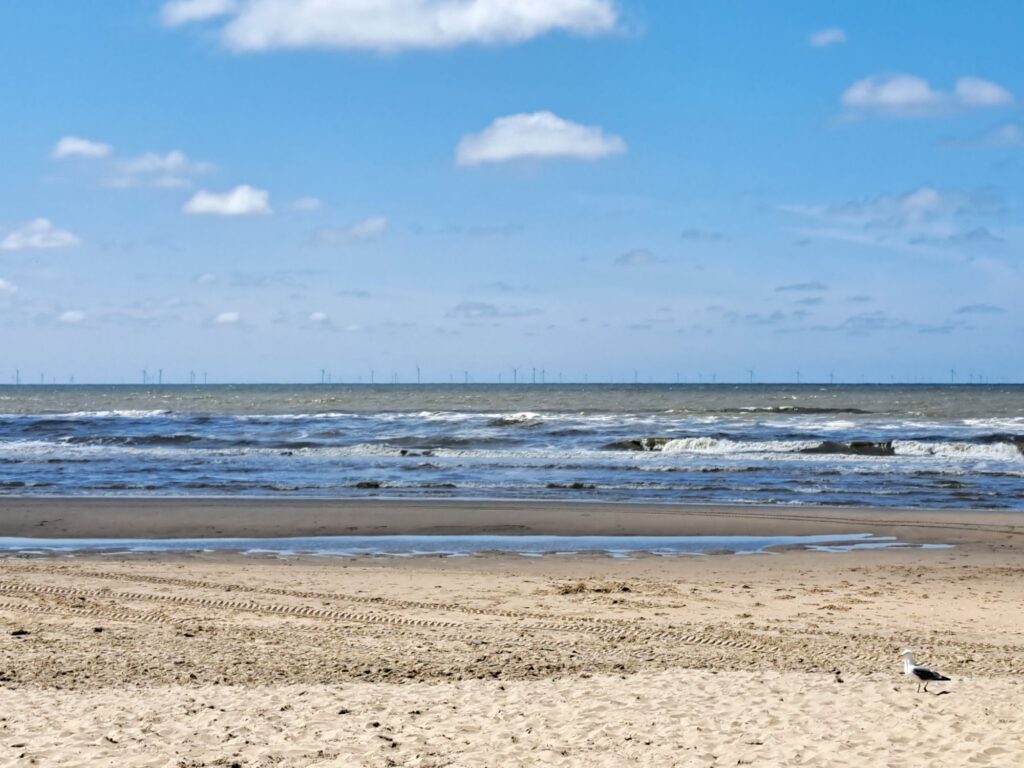 Blick aufs Meer