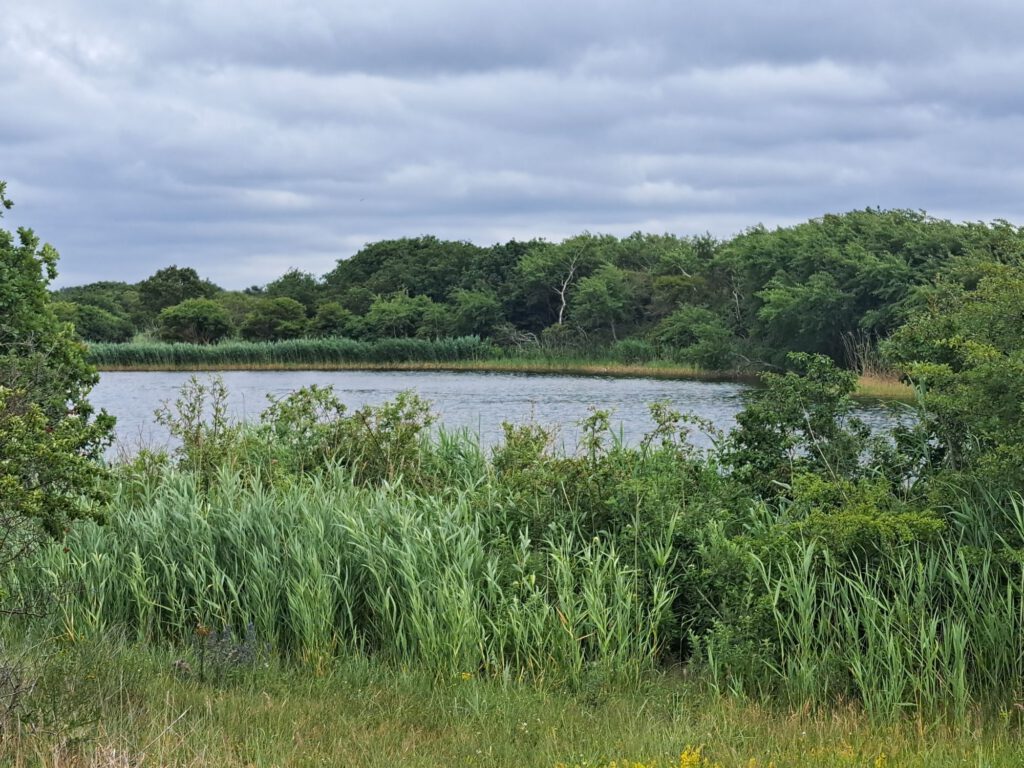 See in den Dünen